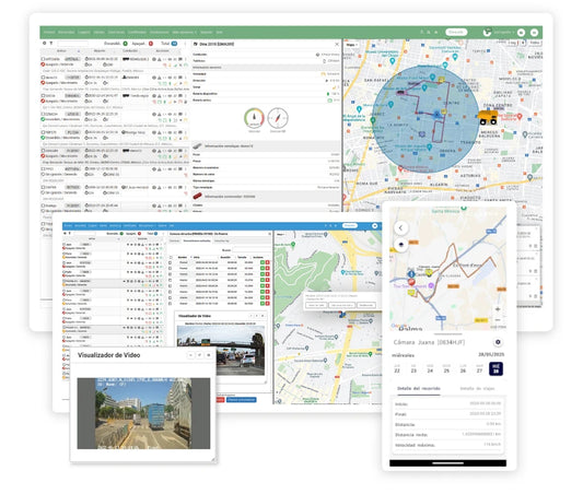 Software Profesional Geolocalización